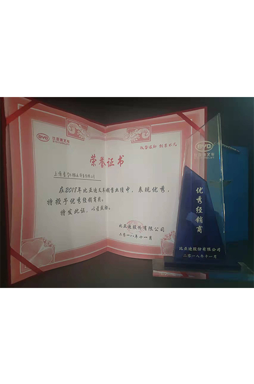 临海市比亚迪2018优秀经销商